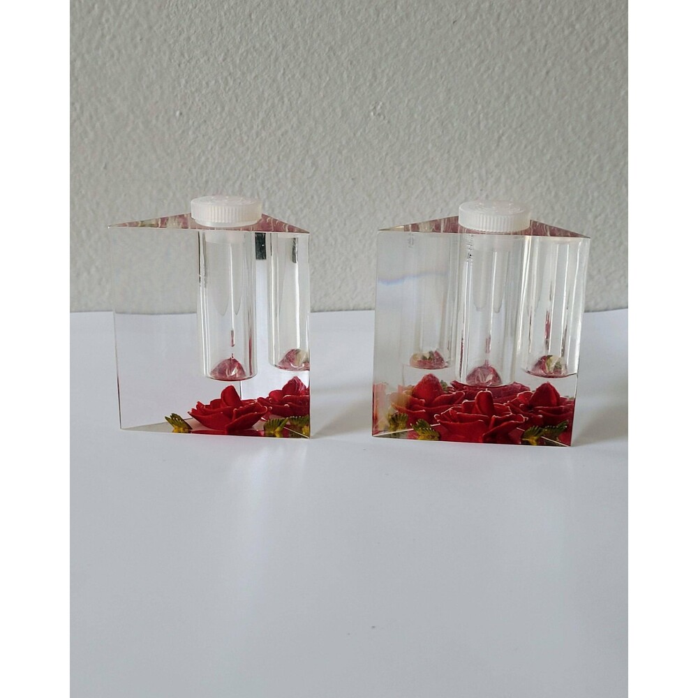 Vintage Clear Lucite Salt and Pepper Shakers Reverse Carved Red Roses Bircraft